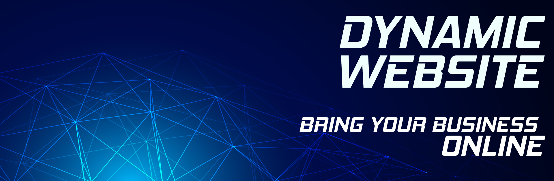 DYNAMIC WEBSITE Packages In India